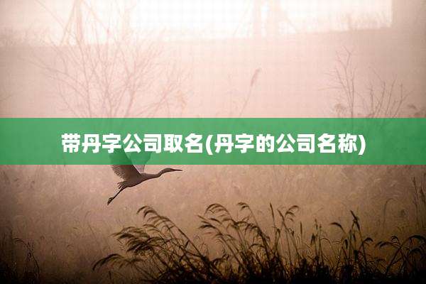 带丹字公司取名(丹字的公司名称)
