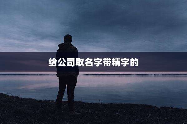 给公司取名字带精字的