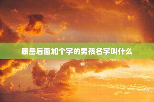 康岳后面加个字的男孩名字叫什么