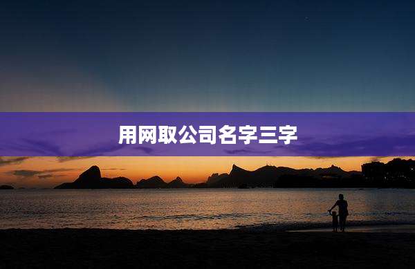用网取公司名字三字