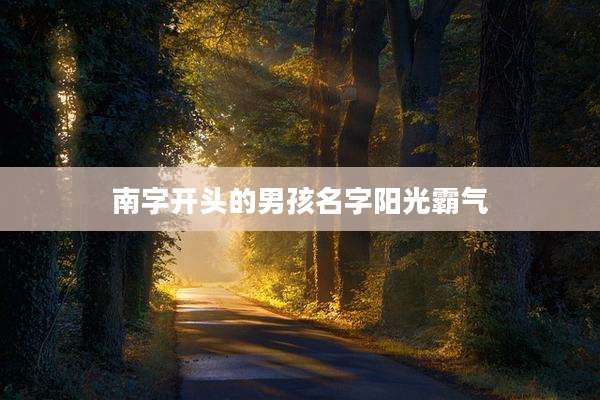 南字开头的男孩名字阳光霸气