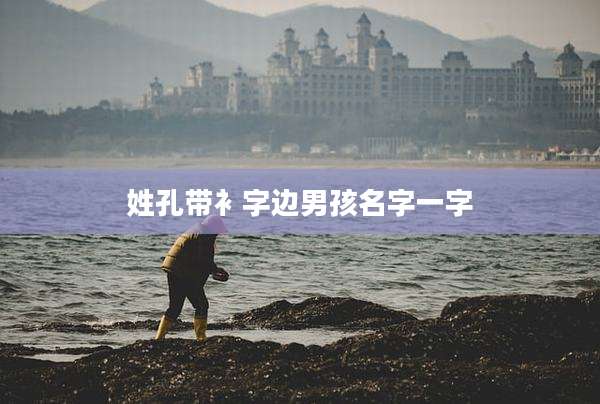 姓孔带衤字边男孩名字一字