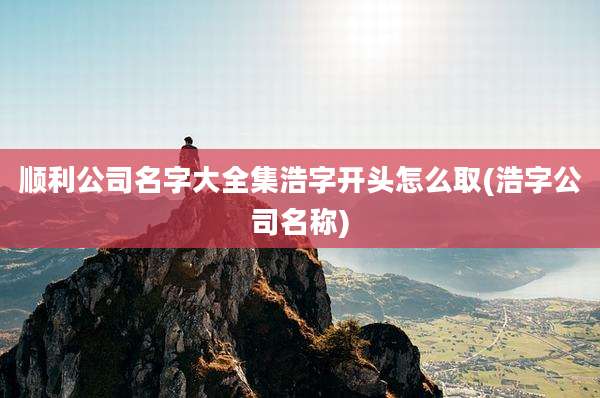 顺利公司名字大全集浩字开头怎么取(浩字公司名称)