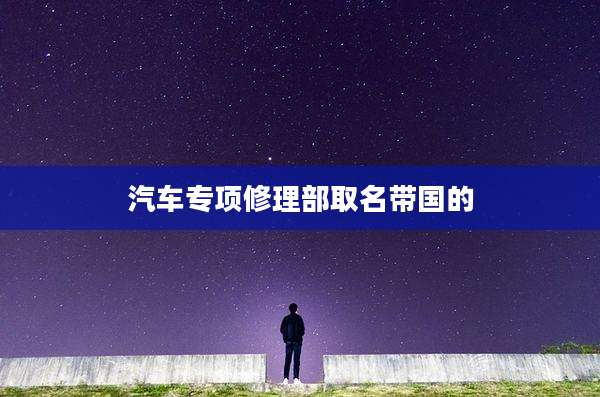 汽车专项修理部取名带国的