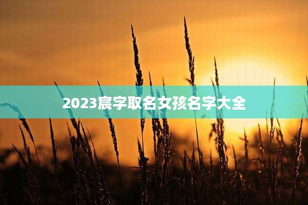2023宸字取名女孩名字大全