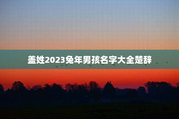 盖姓2023兔年男孩名字大全楚辞