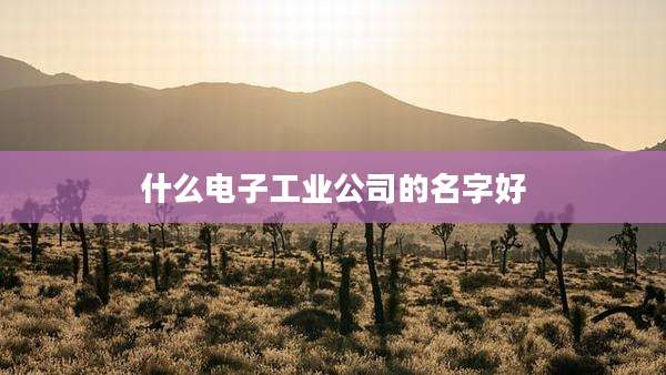 什么电子工业公司的名字好
