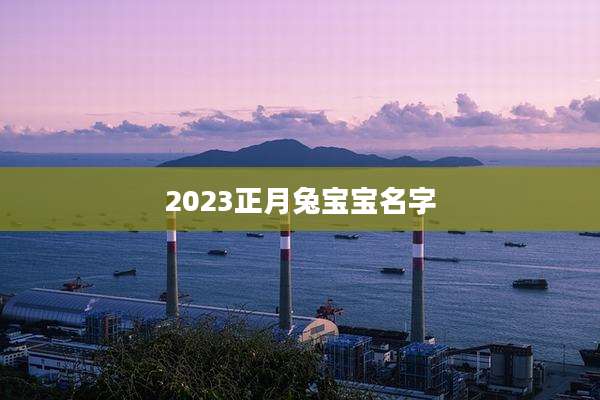 2023正月兔宝宝名字