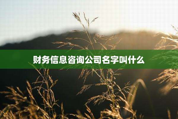 财务信息咨询公司名字叫什么