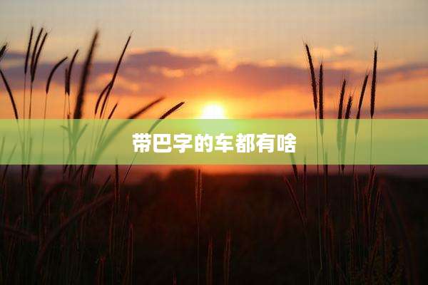 带巴字的车都有啥