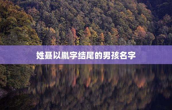 姓聂以胤字结尾的男孩名字