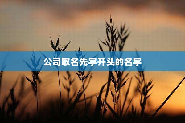 公司取名先字开头的名字