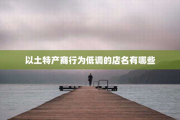 以土特产商行为低调的店名有哪些
