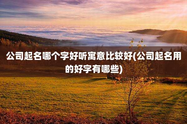 公司起名哪个字好听寓意比较好(公司起名用的好字有哪些)