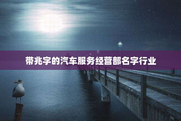 带兆字的汽车服务经营部名字行业