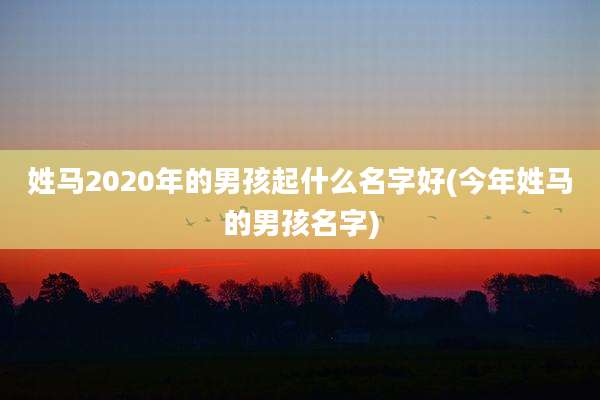 姓马2020年的男孩起什么名字好(今年姓马的男孩名字)