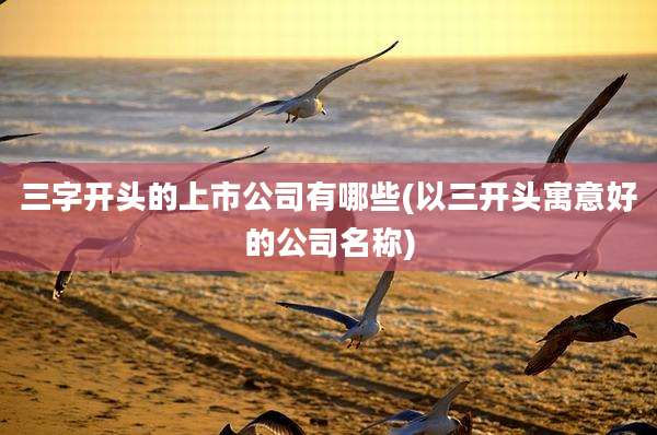 三字开头的上市公司有哪些(以三开头寓意好的公司名称)