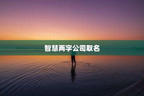 智慧两字公司取名