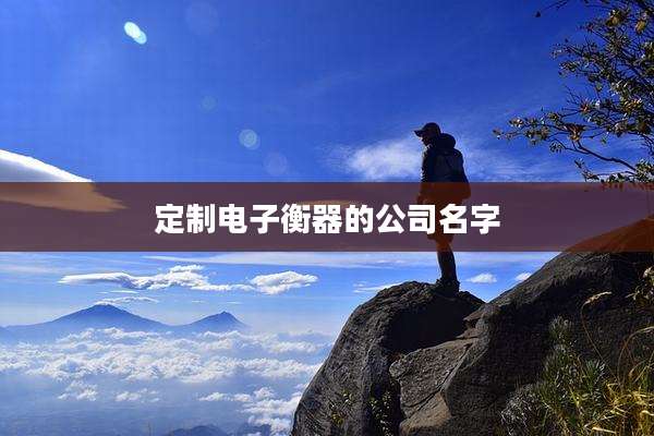 定制电子衡器的公司名字