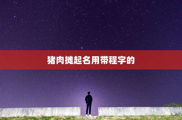 猪肉摊起名用带程字的