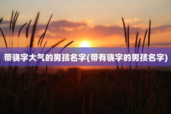 带骁字大气的男孩名字(带有骁字的男孩名字)