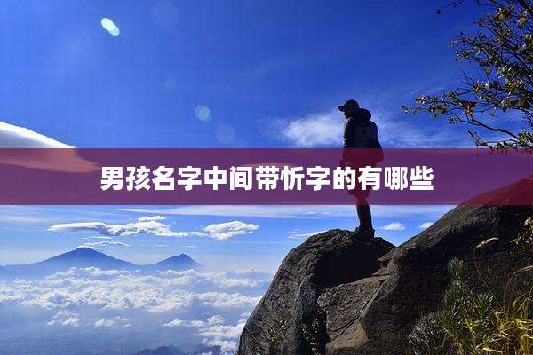 男孩名字中间带忻字的有哪些