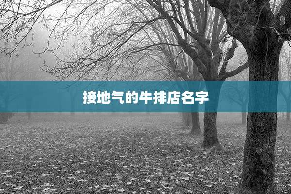 接地气的牛排店名字