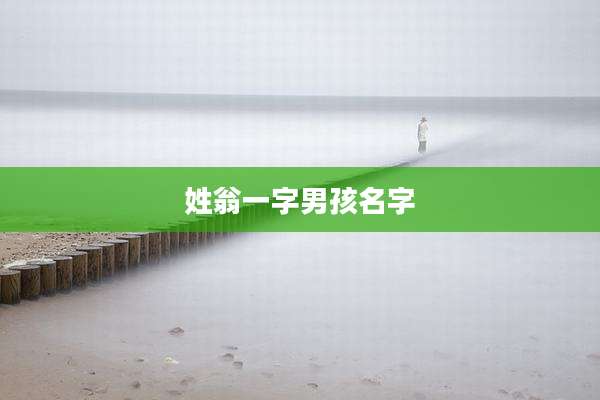 姓翁一字男孩名字