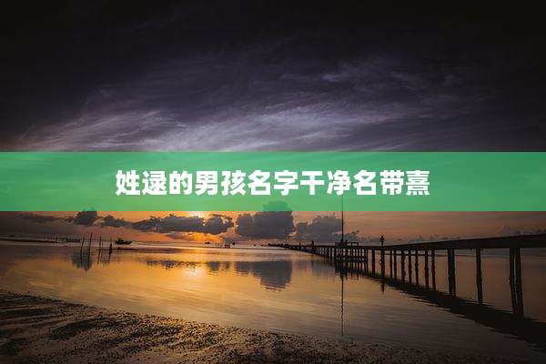 姓逯的男孩名字干净名带熹