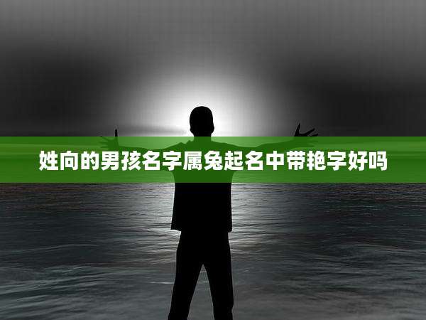 姓向的男孩名字属兔起名中带艳字好吗