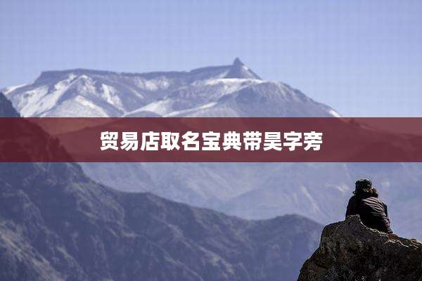 贸易店取名宝典带昊字旁