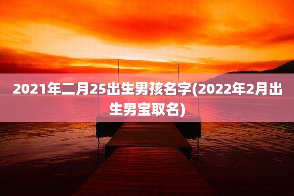 2021年二月25出生男孩名字(2022年2月出生男宝取名)