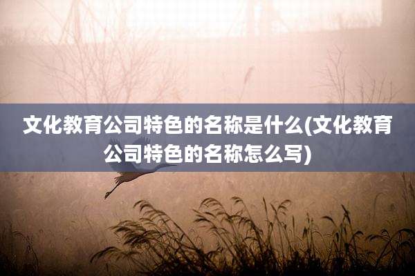 文化教育公司特色的名称是什么(文化教育公司特色的名称怎么写)