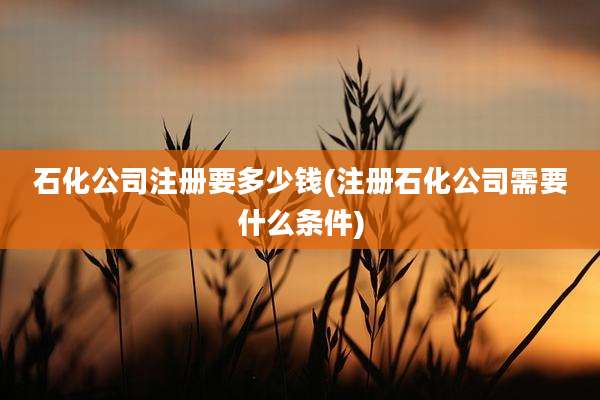 石化公司注册要多少钱(注册石化公司需要什么条件)