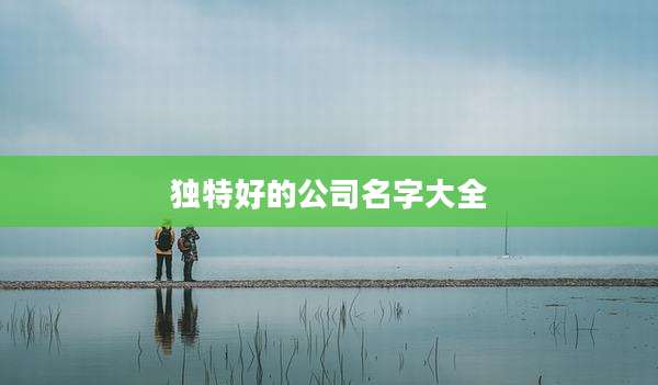 独特好的公司名字大全