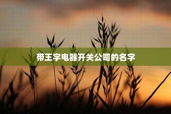 带王字电器开关公司的名字