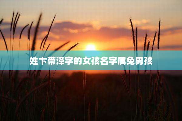姓卞带泽字的女孩名字属兔男孩