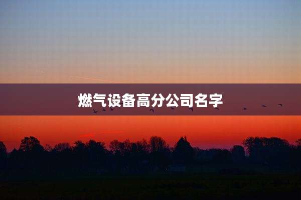 燃气设备高分公司名字