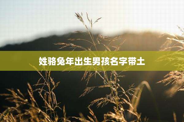 姓骆兔年出生男孩名字带土