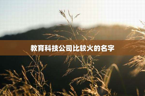 教育科技公司比较火的名字