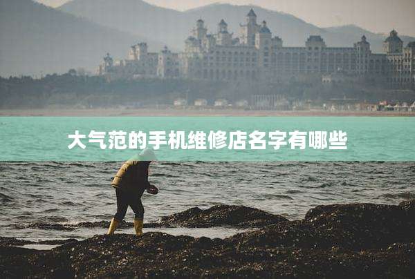 大气范的手机维修店名字有哪些