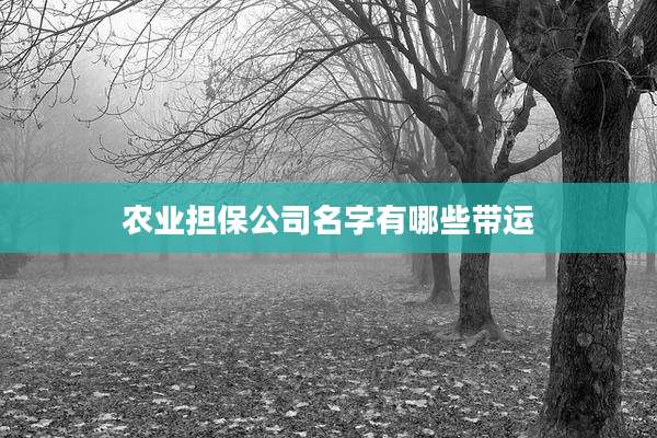农业担保公司名字有哪些带运