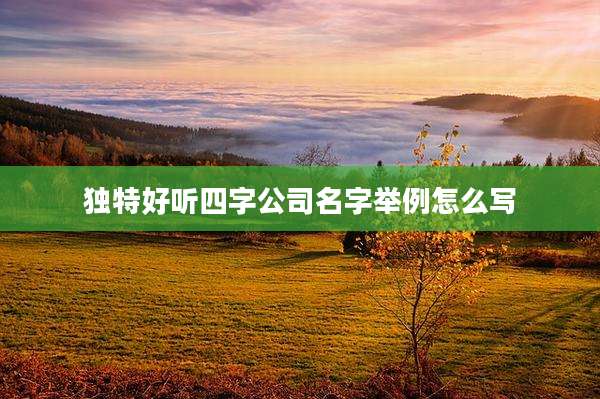 独特好听四字公司名字举例怎么写