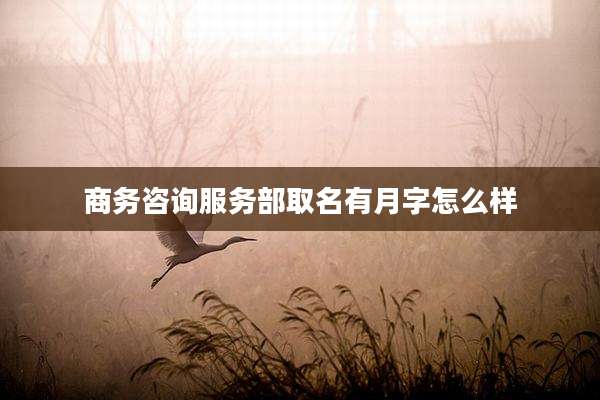 商务咨询服务部取名有月字怎么样