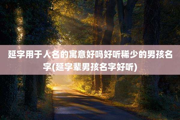 延字用于人名的寓意好吗好听稀少的男孩名字(延字辈男孩名字好听)