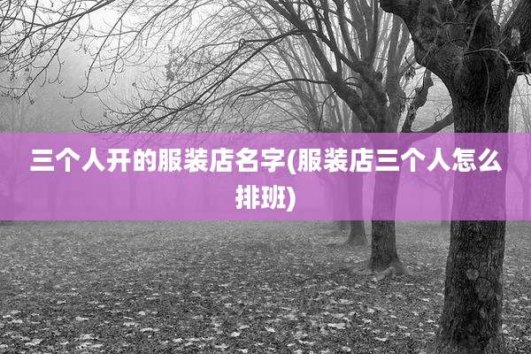 三个人开的服装店名字(服装店三个人怎么排班)