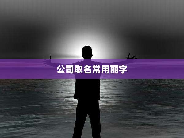 公司取名常用丽字