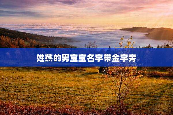 姓燕的男宝宝名字带金字旁