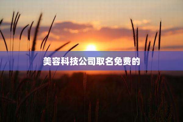 美容科技公司取名免费的