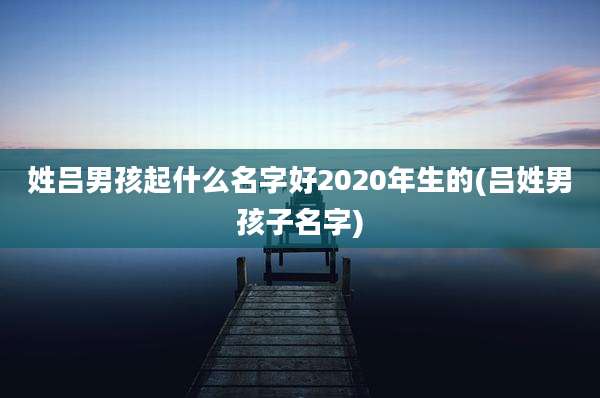 姓吕男孩起什么名字好2020年生的(吕姓男孩子名字)